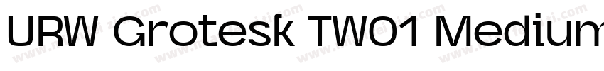 URW Grotesk TW01 Medium XWide字体转换